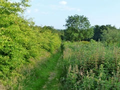 
Llancaiach Colliery tramway looking from the colliery site, July 2013